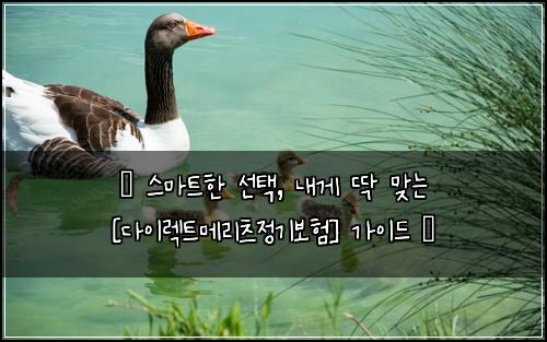 ✨ 스마트한 선택, 내게 딱 맞는 [다이렉트메리츠정기보험] 가이드 ✨