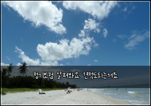 정기보험 살펴봐요  견적도되는거죠