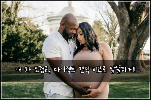  내 차 보험료, 다이렉트 견적 비교로 알뜰하게!