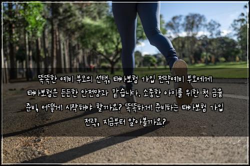  똑똑한 예비 부모의 선택, 태아보험 가입 전략

예비 부모에게 태아보험은 든든한 안전망과 같습니다. 소중한 아이를 위한 첫 금융 준비, 어떻게 시작해야 할까요? 똑똑하게 준비하는 태아보험 가입 전략, 지금부터 알아볼까요?