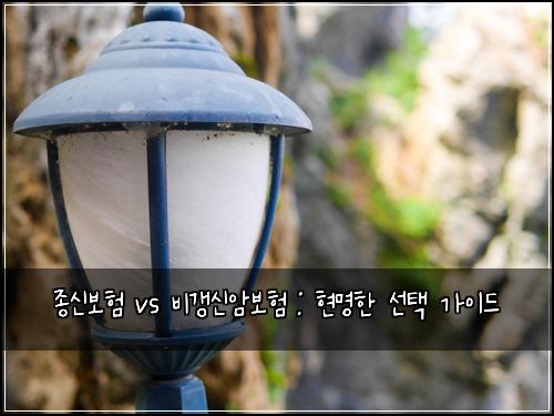 종신보험 vs 비갱신암보험 : 현명한 선택 가이드
