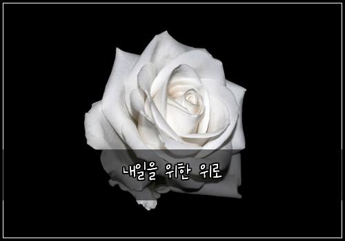 내일을 위한 위로