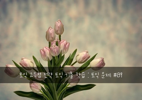 토익 고득점 전략 토익 기출 학습 : 토익 문제 #139