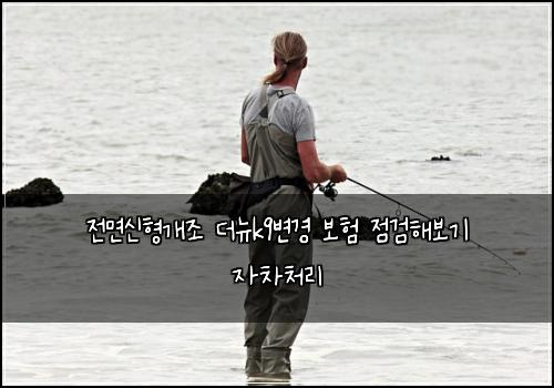 전면신형개조 더뉴k9변경 보험 점검해보기  자차처리