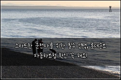  스마트한 운전자를 위한 필수 선택, 롯데손보 자동차보험 확인 꼭 해요!