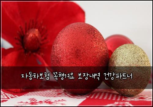 ์๋์ฐจ๋ณดํ ๊ผญ์ฑ๊ฒจ์ ๋ณด์ฅ๋ด์ญ ๊ฑด๊ฐํํธ๋