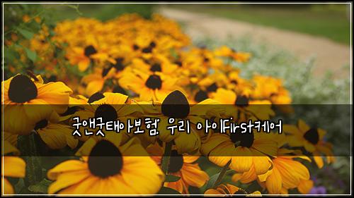  굿앤굿태아보험: 우리 아이First케어