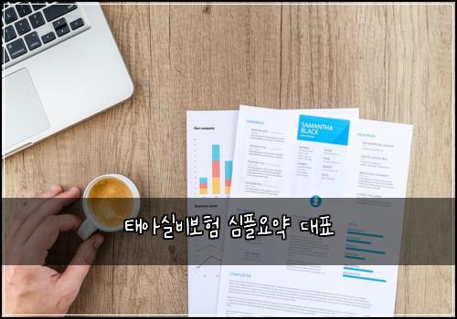 태아실비보험 심플요약  대표
