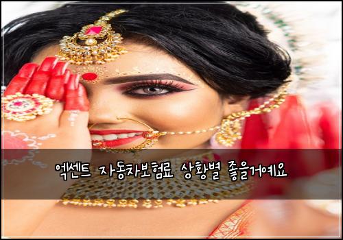엑센트 자동차보험료 상황별 좋을거예요