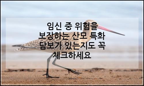 오늘의 이미지