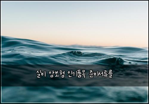 실비 암보험 인기품목  준비서류를