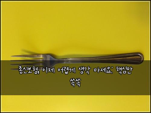  종신보험, 이제 어렵게 생각 마세요: 핵심만 쏙쏙
