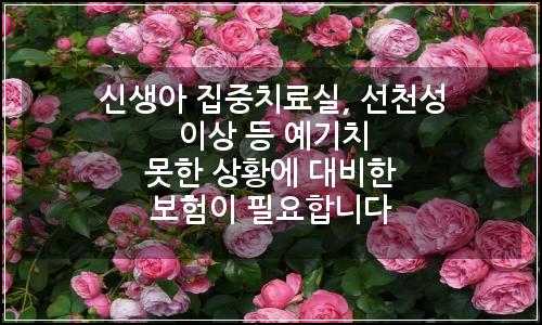 오늘의 이미지