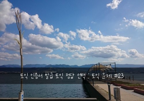 토익 인증서 발급 토익 정답 선택 : 토익 문제 #123