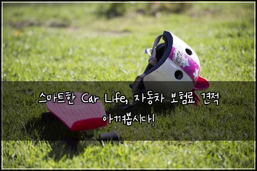  스마트한 Car Life, 자동차 보험료 견적 아껴봅시다!