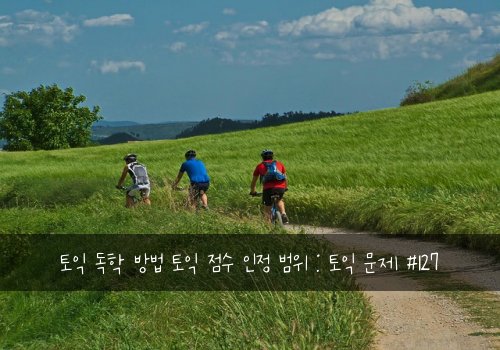 토익 독학 방법 토익 점수 인정 범위 : 토익 문제 #127