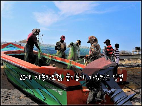 20세 자동차보험, 슬기롭게 가입하는 방법