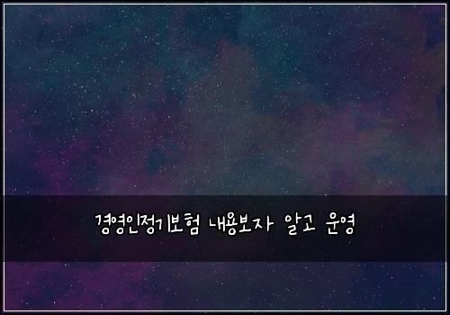 경영인정기보험 내용보자  알고 운영