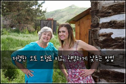  저렴한 오토 보험료 비교, 현명하게 낮추는 방법