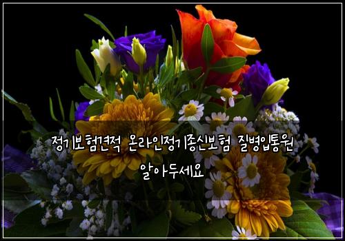 정기보험견적 온라인정기종신보험 질병입통원 알아두세요