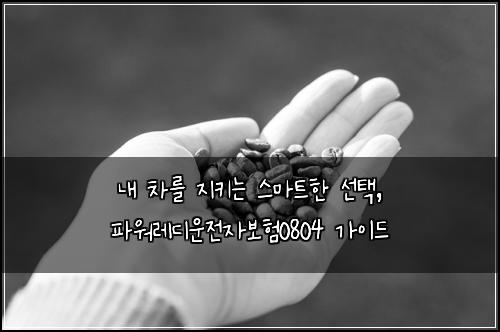  내 차를 지키는 스마트한 선택, 파워레디운전자보험0804 가이드