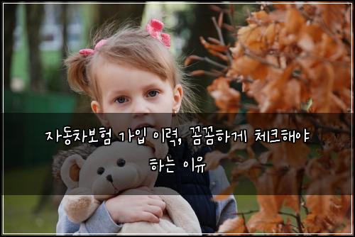 자동차보험 가입 이력, 꼼꼼하게 체크해야 하는 이유