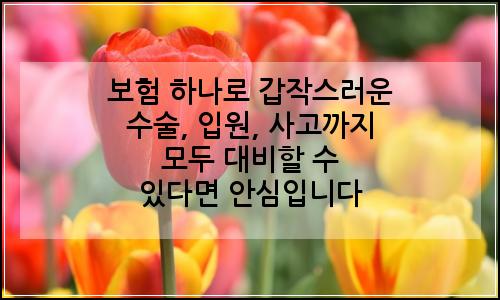 오늘의 이미지