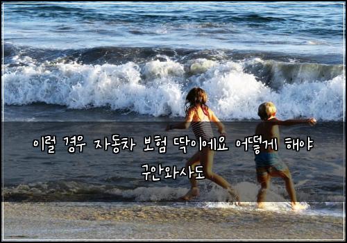 ์ด๋ด ๊ฒฝ์ฐ ์๋์ฐจ ๋ณดํ ๋ฑ์ด์์ ์ด๋ป๊ฒ ํด์ผ ๊ตฌ์์์ฌ๋