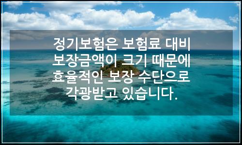 오늘의 이미지