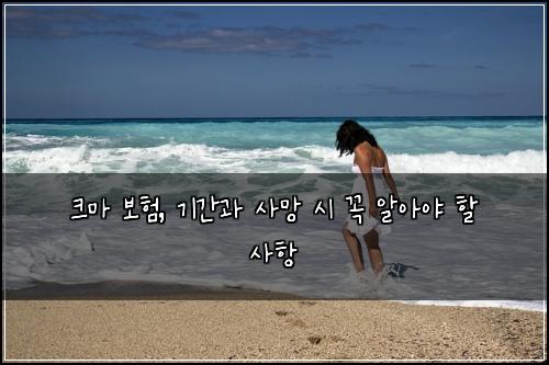 크마 보험, 기간과 사망 시 꼭 알아야 할 사항