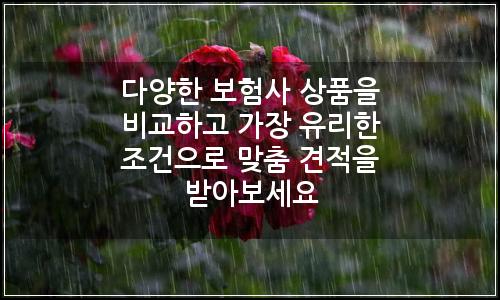 오늘의 이미지