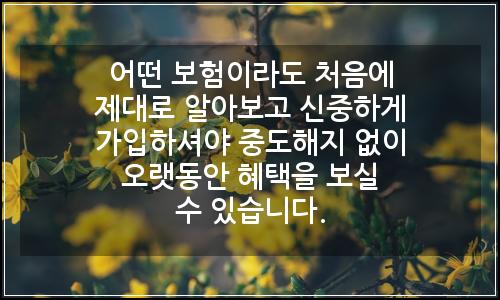 오늘의 이미지