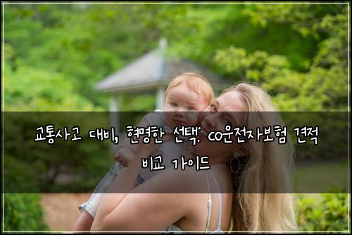  교통사고 대비, 현명한 선택: co운전자보험 견적 비교 가이드