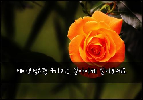 ํ์๋ณดํ์๋ น 4๊ฐ์ง๋ ์์์ผํด ์์๋ณด์ธ์