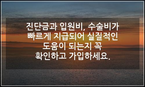 오늘의 이미지