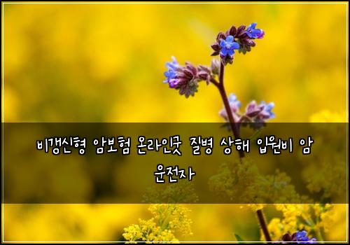 비갱신형 암보험 온라인굿  질병 상해 입원비 암 운전자