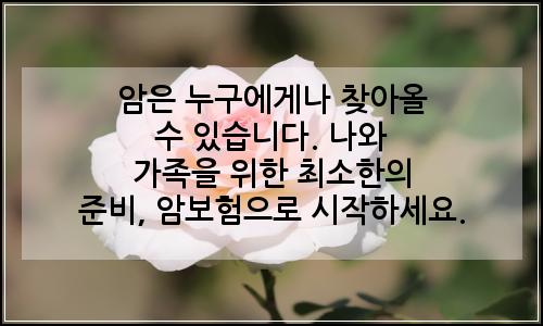 오늘의 이미지