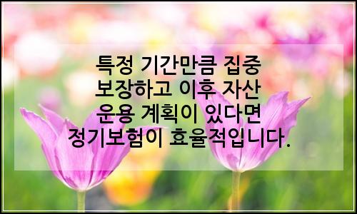 오늘의 이미지