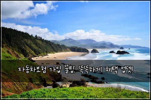 자동차보험 가입 꿀팁: 똑똑하게 혜택 업뎃!