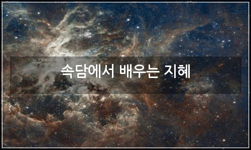 오늘의 이미지