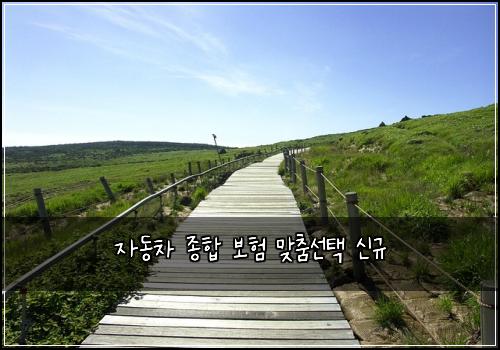 ์๋์ฐจ ์ข
ํฉ ๋ณดํ ๋ง์ถค์ ํ ์ ๊ท