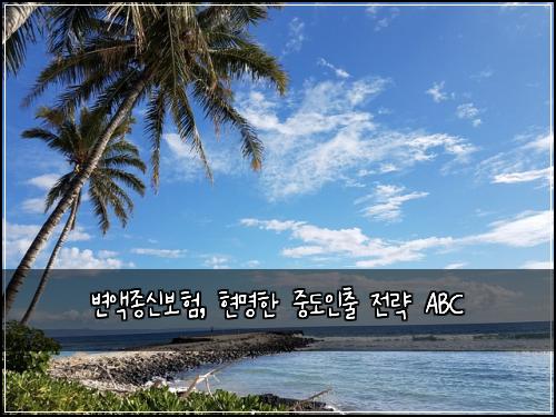  변액종신보험, 현명한 중도인출 전략 ABC