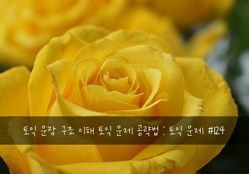 토익 문장 구조 이해 토익 문제 공략법 : 토익 문제 #124