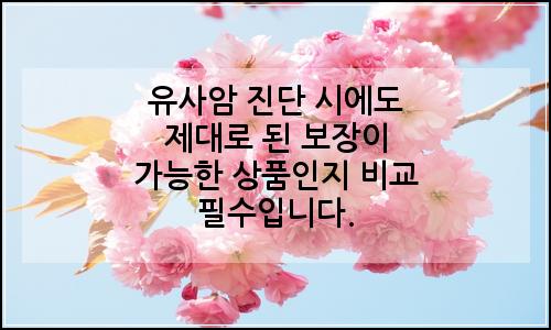 오늘의 이미지