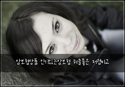 μ보νμν μΈκΈ°μλμ보ν νμΈμ’μ μ λ ΄λΉκ΅