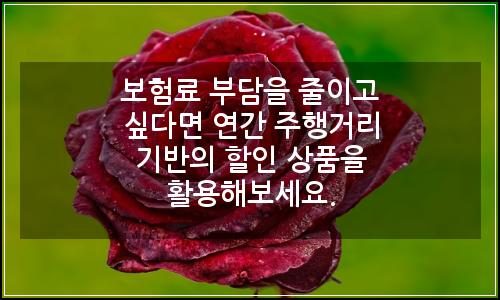 오늘의 이미지