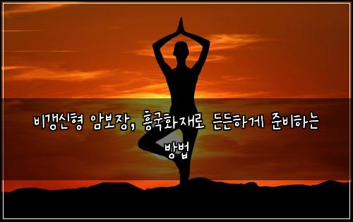 비갱신형 암보장, 흥국화재로 든든하게 준비하는 방법