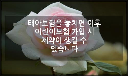 오늘의 이미지