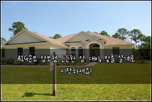 AIG손보 암보험: 든든한 암 대비, 맞춤 설계로 시작하세요!