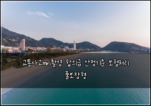 교통사고mri촬영 합의금 산정기준 보험처리 풀보장형